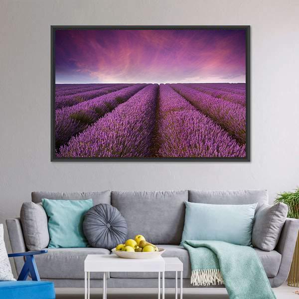 Lavender Field At Sunset Canvas Wall Art-3 Horizontal-Gallery Wrap-25" x 16"-Tiaracle