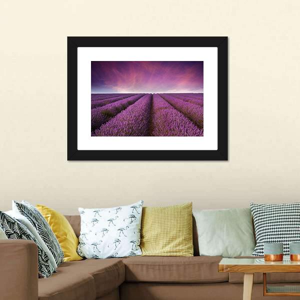 Lavender Field At Sunset Canvas Wall Art-3 Horizontal-Gallery Wrap-25" x 16"-Tiaracle