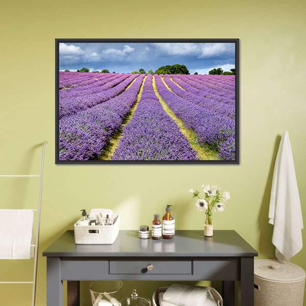 Lavender Field Canvas Wall Art-1 Piece-Floating Frame-24" x 16"-Tiaracle