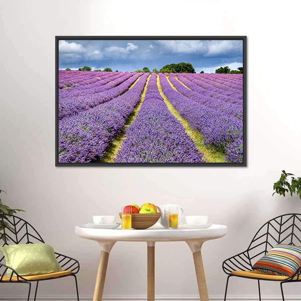 Lavender Field Canvas Wall Art-3 Horizontal-Gallery Wrap-25" x 16"-Tiaracle