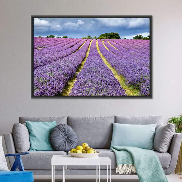 Lavender Field Canvas Wall Art-3 Horizontal-Gallery Wrap-25" x 16"-Tiaracle