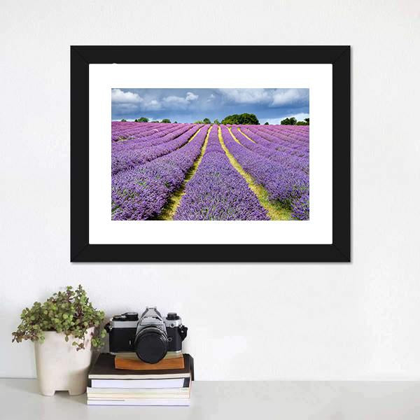 Lavender Field Canvas Wall Art-1 Piece-Framed Print-20" x 16"-Tiaracle