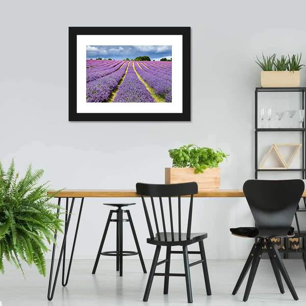 Lavender Field Canvas Wall Art-3 Horizontal-Gallery Wrap-25" x 16"-Tiaracle