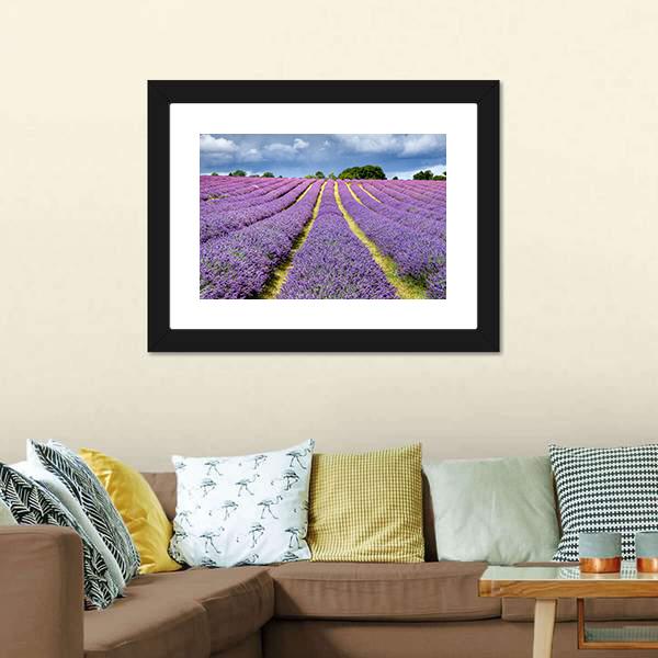 Lavender Field Canvas Wall Art-3 Horizontal-Gallery Wrap-25" x 16"-Tiaracle