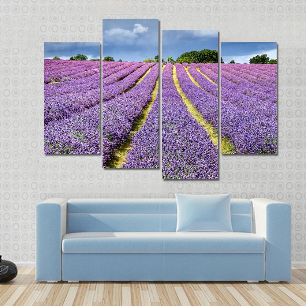 Lavender Field Canvas Wall Art-4 Pop-Gallery Wrap-50" x 32"-Tiaracle