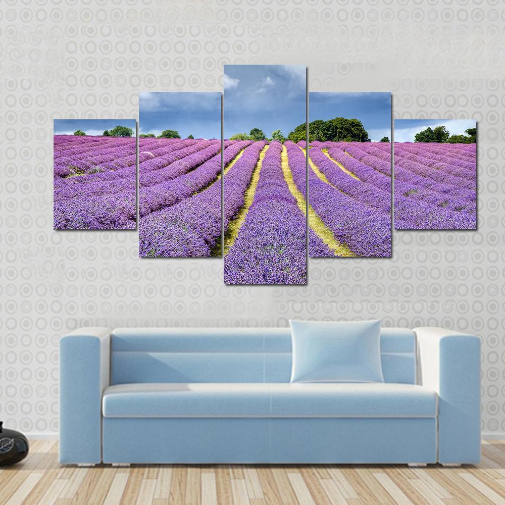 Lavender Field Canvas Wall Art-5 Star-Gallery Wrap-62" x 32"-Tiaracle