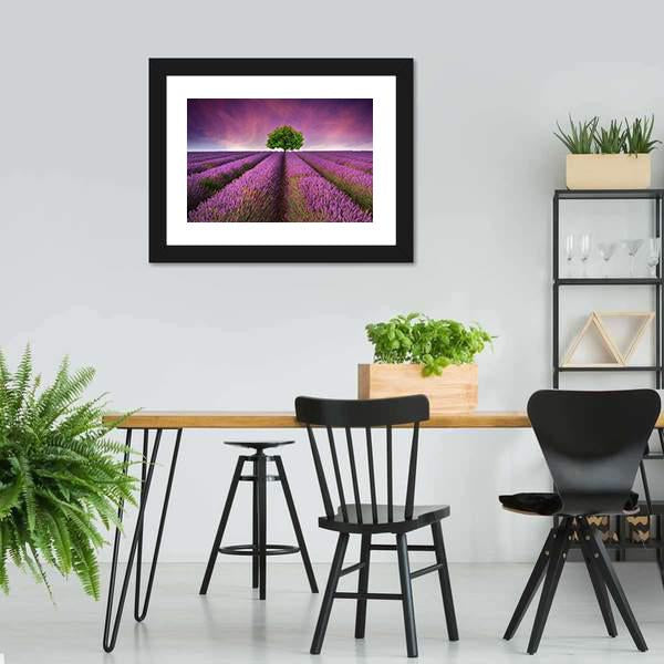 Lavender Field In Summer Canvas Wall Art-3 Horizontal-Gallery Wrap-25" x 16"-Tiaracle