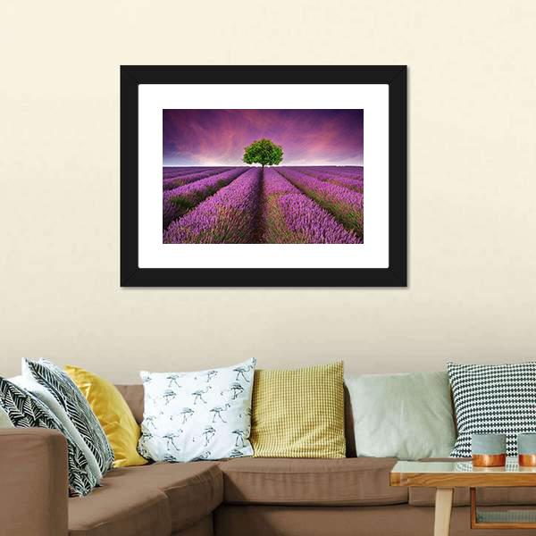 Lavender Field In Summer Canvas Wall Art-3 Horizontal-Gallery Wrap-25" x 16"-Tiaracle