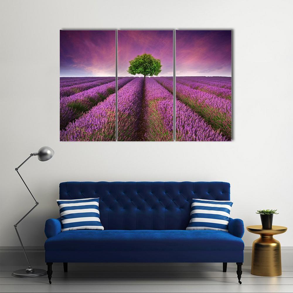 Lavender Field In Summer Canvas Wall Art-3 Horizontal-Gallery Wrap-37" x 24"-Tiaracle