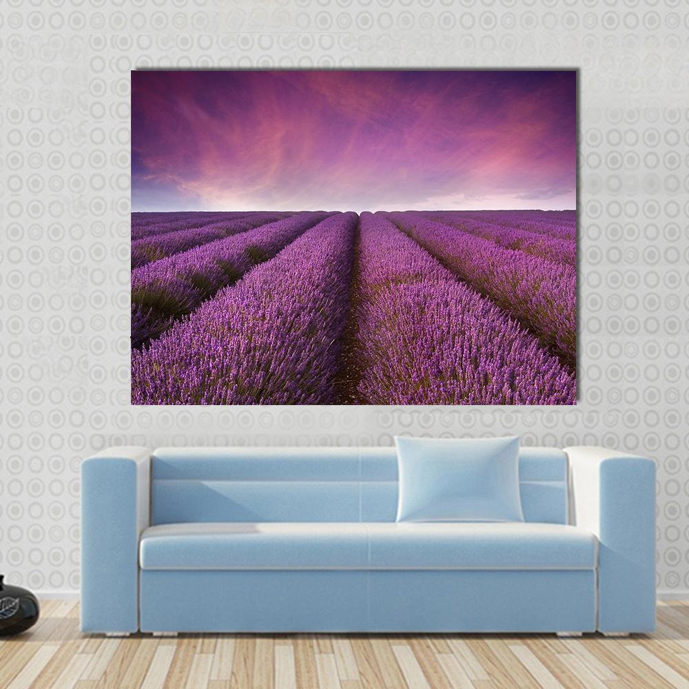 Lavender Field At Sunset Canvas Wall Art-1 Piece-Gallery Wrap-48" x 32"-Tiaracle