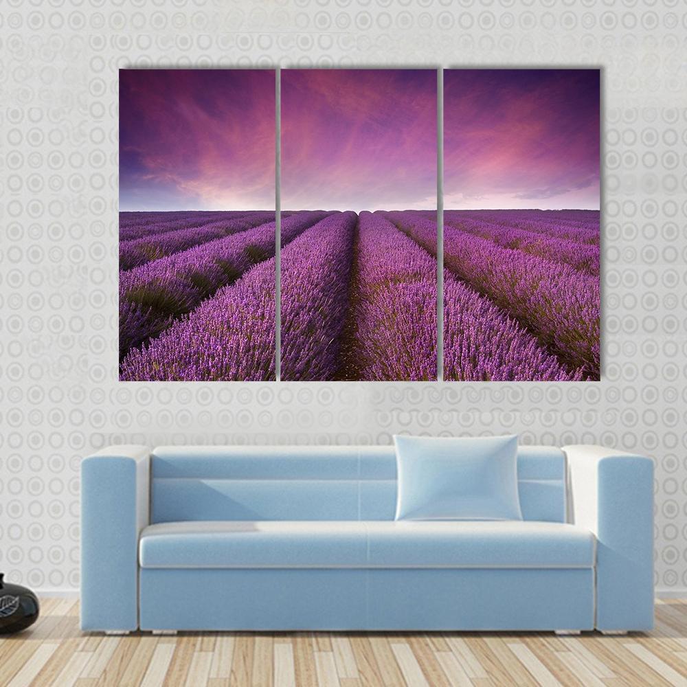 Lavender Field At Sunset Canvas Wall Art-3 Horizontal-Gallery Wrap-37" x 24"-Tiaracle