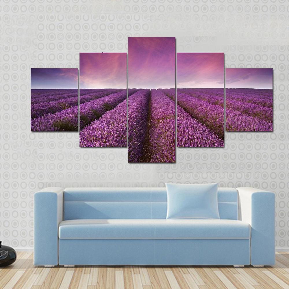 Lavender Field At Sunset Canvas Wall Art-5 Star-Gallery Wrap-62" x 32"-Tiaracle