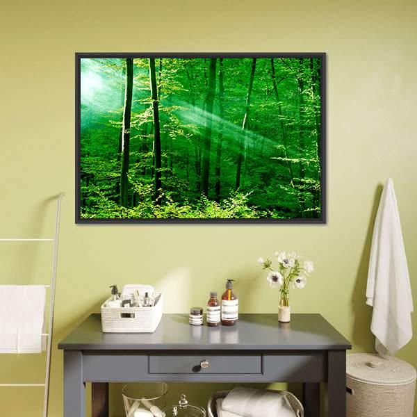 Lights Of The Forest Canvas Wall Art-1 Piece-Floating Frame-24" x 16"-Tiaracle