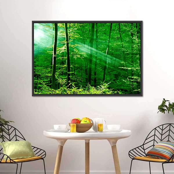 Lights Of The Forest Canvas Wall Art-3 Horizontal-Gallery Wrap-25" x 16"-Tiaracle