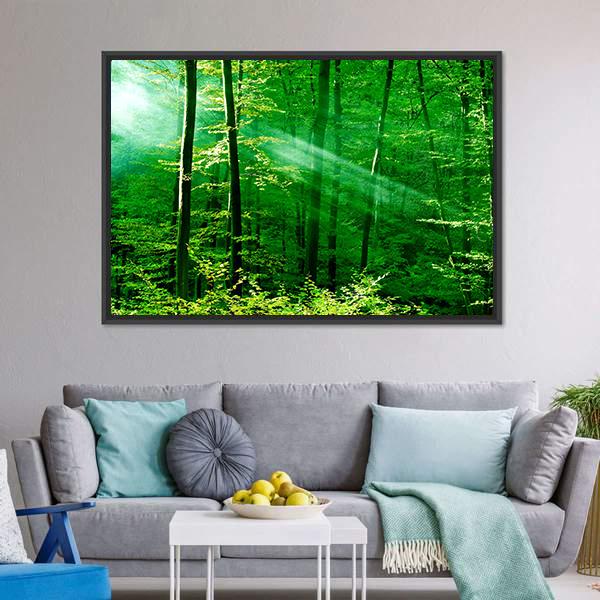 Lights Of The Forest Canvas Wall Art-3 Horizontal-Gallery Wrap-25" x 16"-Tiaracle