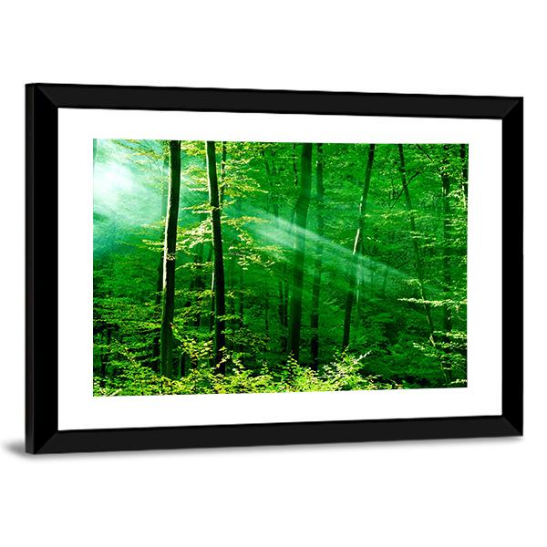 Lights Of The Forest Canvas Wall Art-3 Horizontal-Gallery Wrap-25" x 16"-Tiaracle