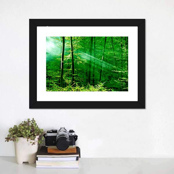 Lights Of The Forest Canvas Wall Art-1 Piece-Framed Print-20" x 16"-Tiaracle