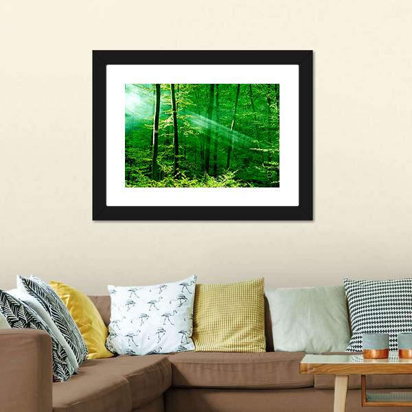 Lights Of The Forest Canvas Wall Art-3 Horizontal-Gallery Wrap-25" x 16"-Tiaracle