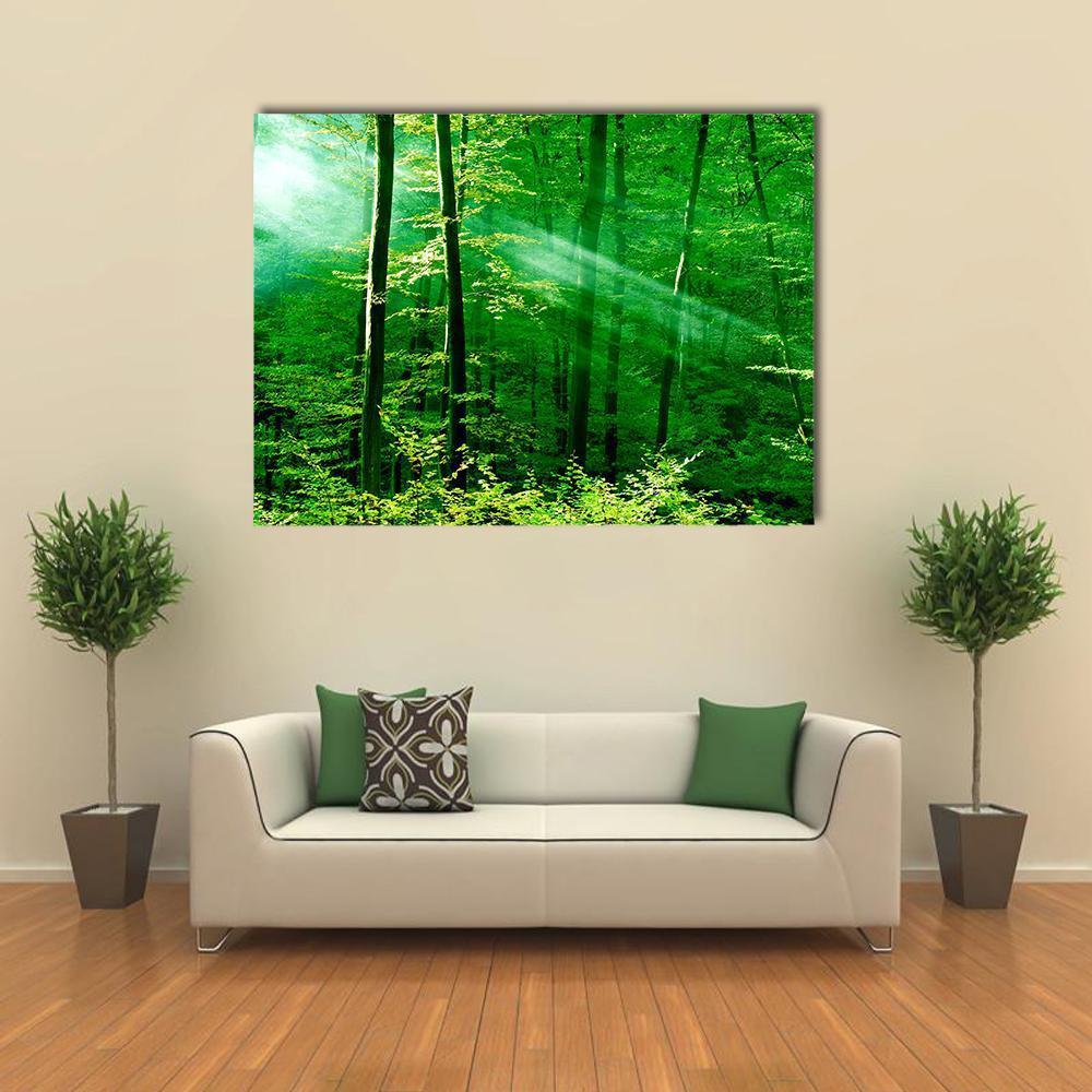 Lights Of The Forest Canvas Wall Art-1 Piece-Gallery Wrap-48" x 32"-Tiaracle