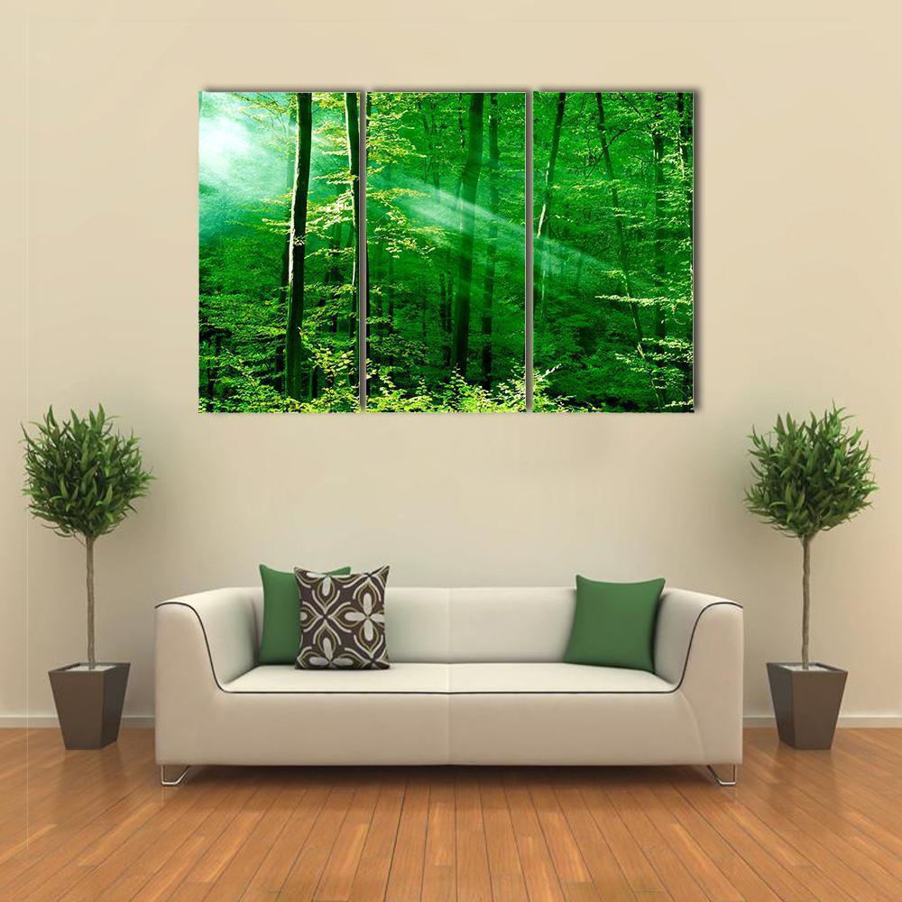 Lights Of The Forest Canvas Wall Art-3 Horizontal-Gallery Wrap-37" x 24"-Tiaracle