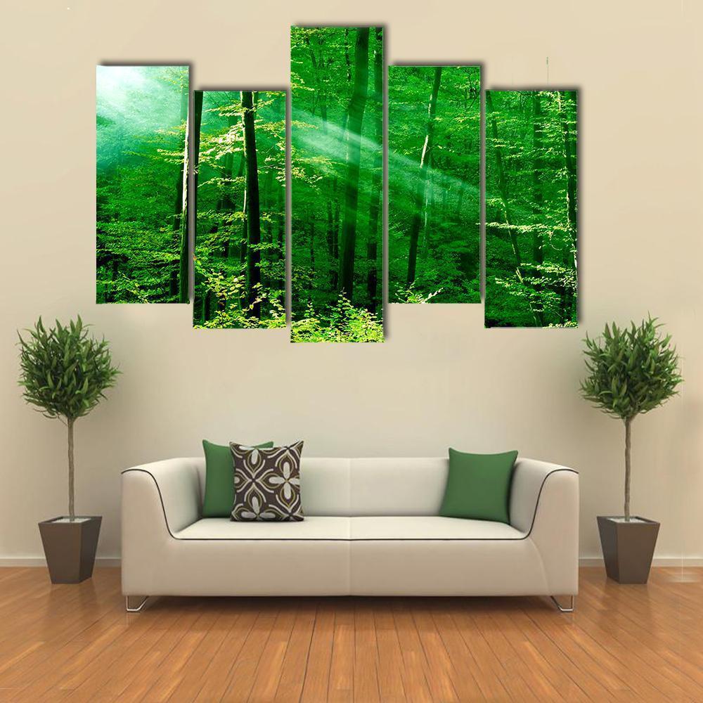 Lights Of The Forest Canvas Wall Art-5 Pop-Gallery Wrap-47" x 32"-Tiaracle