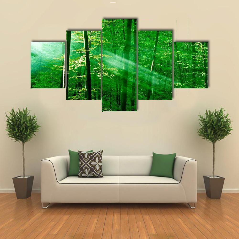 Lights Of The Forest Canvas Wall Art-5 Star-Gallery Wrap-62" x 32"-Tiaracle