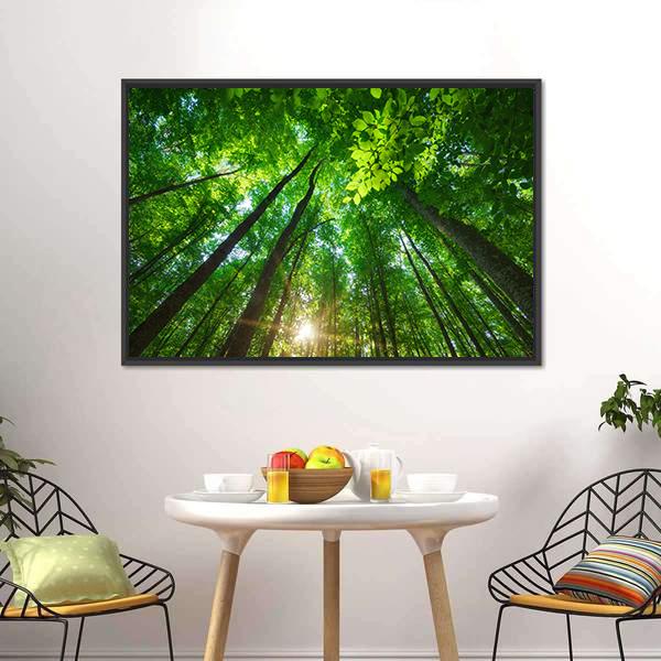 Long Trees In Forest Canvas Wall Art-3 Horizontal-Gallery Wrap-25" x 16"-Tiaracle