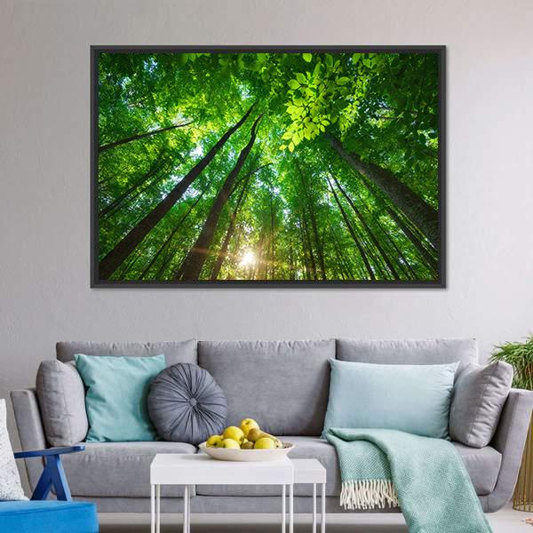 Long Trees In Forest Canvas Wall Art-3 Horizontal-Gallery Wrap-25" x 16"-Tiaracle