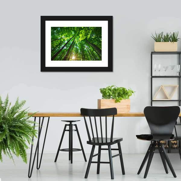 Long Trees In Forest Canvas Wall Art-3 Horizontal-Gallery Wrap-25" x 16"-Tiaracle