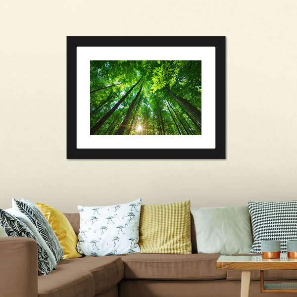 Long Trees In Forest Canvas Wall Art-3 Horizontal-Gallery Wrap-25" x 16"-Tiaracle