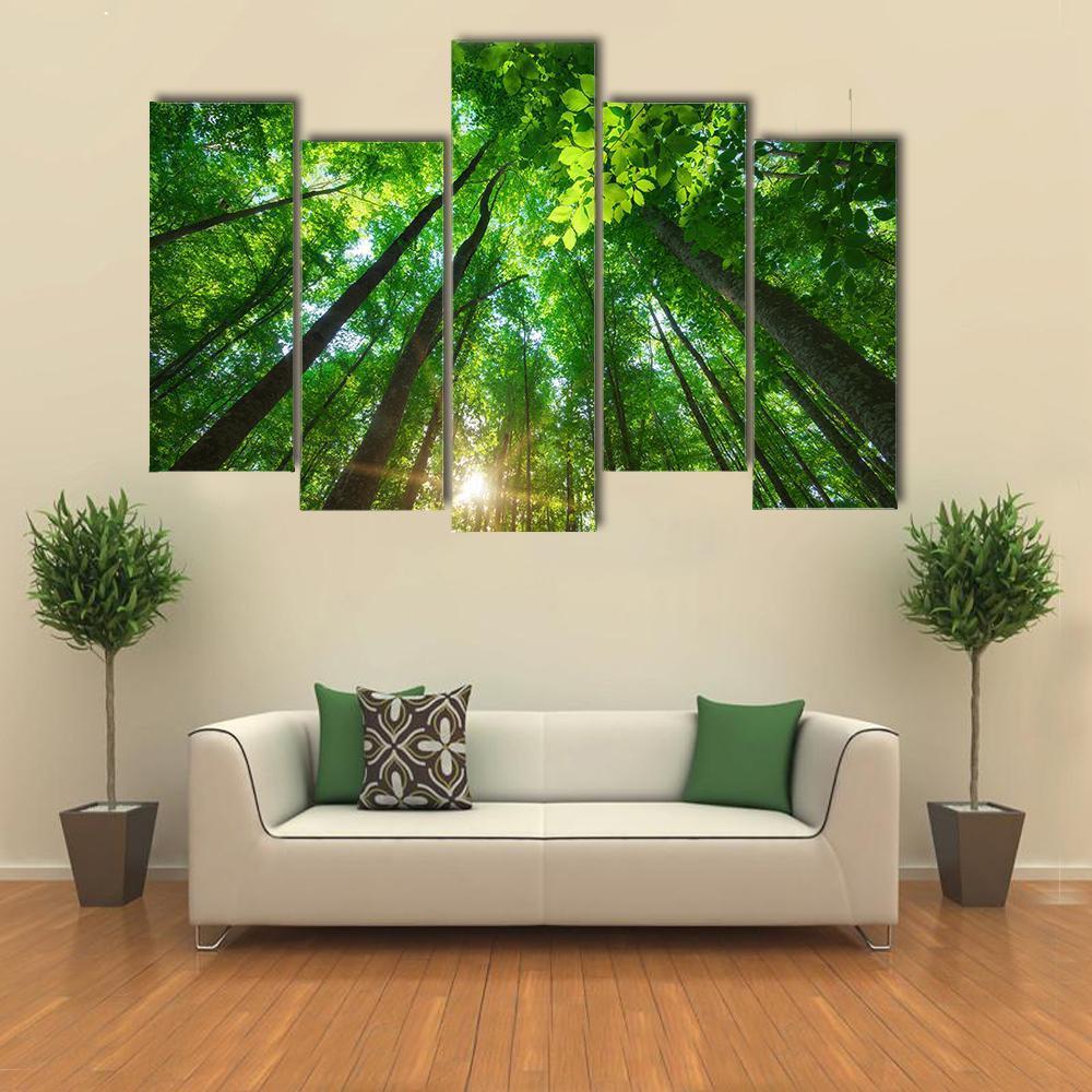 Long Trees In Forest Canvas Wall Art-5 Pop-Gallery Wrap-47" x 32"-Tiaracle