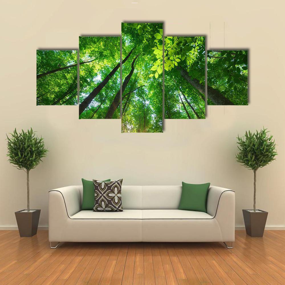 Long Trees In Forest Canvas Wall Art-5 Star-Gallery Wrap-62" x 32"-Tiaracle