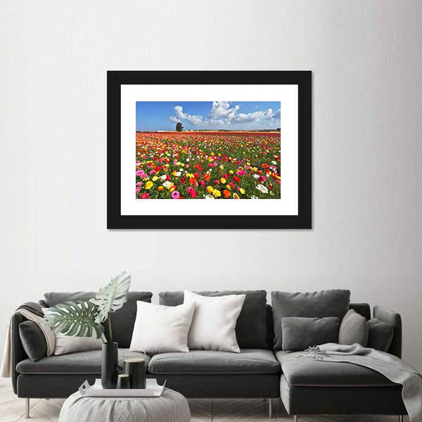 Magnificent Garden Buttercups Canvas Wall Art-1 Piece-Framed Print-20" x 16"-Tiaracle