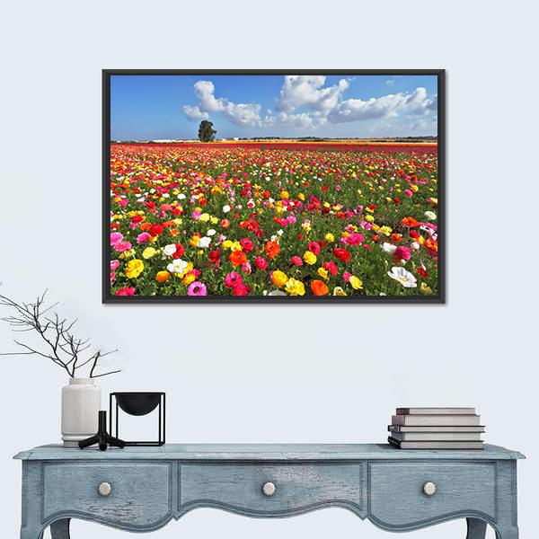 Magnificent Garden Buttercups Canvas Wall Art-3 Horizontal-Gallery Wrap-25" x 16"-Tiaracle