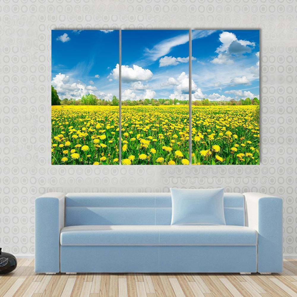 Meadow With Yellow Dandelions Canvas Wall Art-3 Horizontal-Gallery Wrap-37" x 24"-Tiaracle