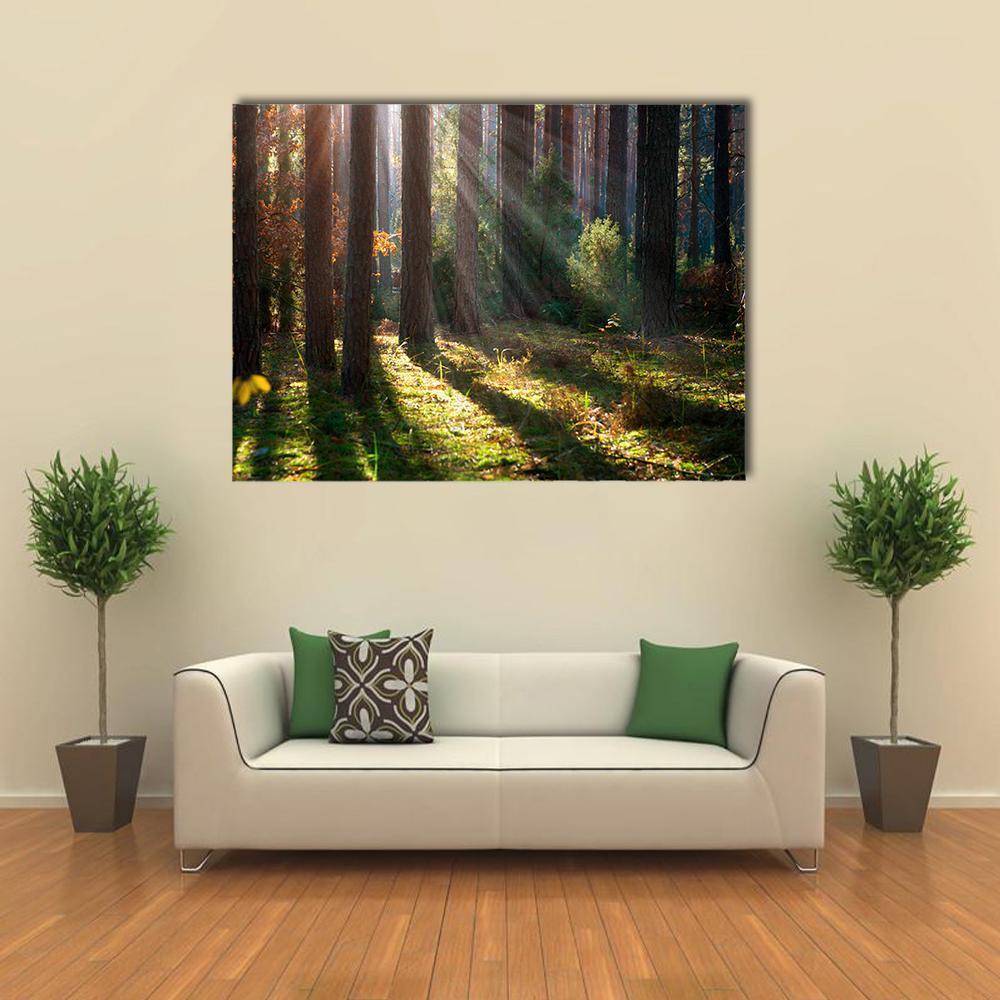 Old Autumn Forest Canvas Wall Art-1 Piece-Gallery Wrap-48" x 32"-Tiaracle