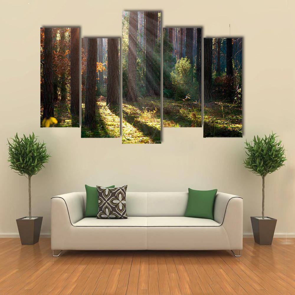 Old Autumn Forest Canvas Wall Art-5 Pop-Gallery Wrap-47" x 32"-Tiaracle