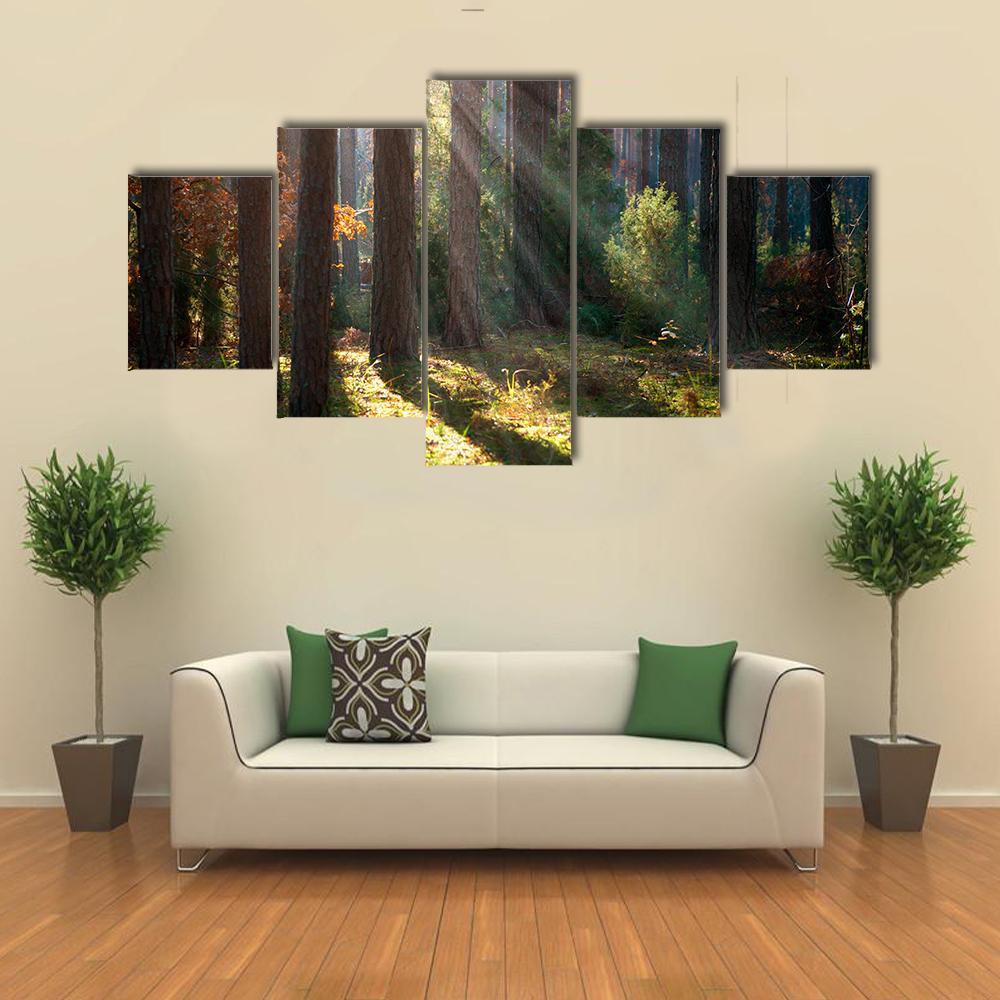 Old Autumn Forest Canvas Wall Art-5 Star-Gallery Wrap-62" x 32"-Tiaracle