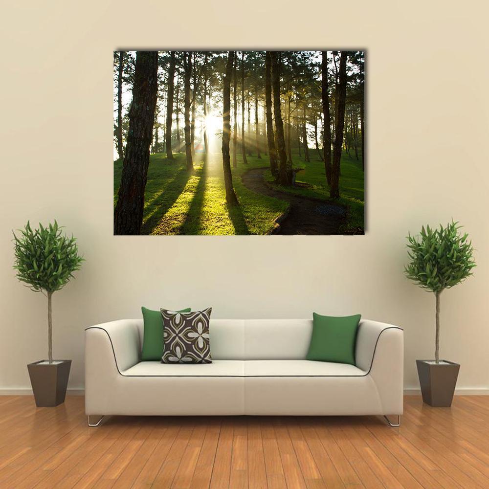 Morning In Pine Forest Canvas Wall Art-1 Piece-Gallery Wrap-48" x 32"-Tiaracle