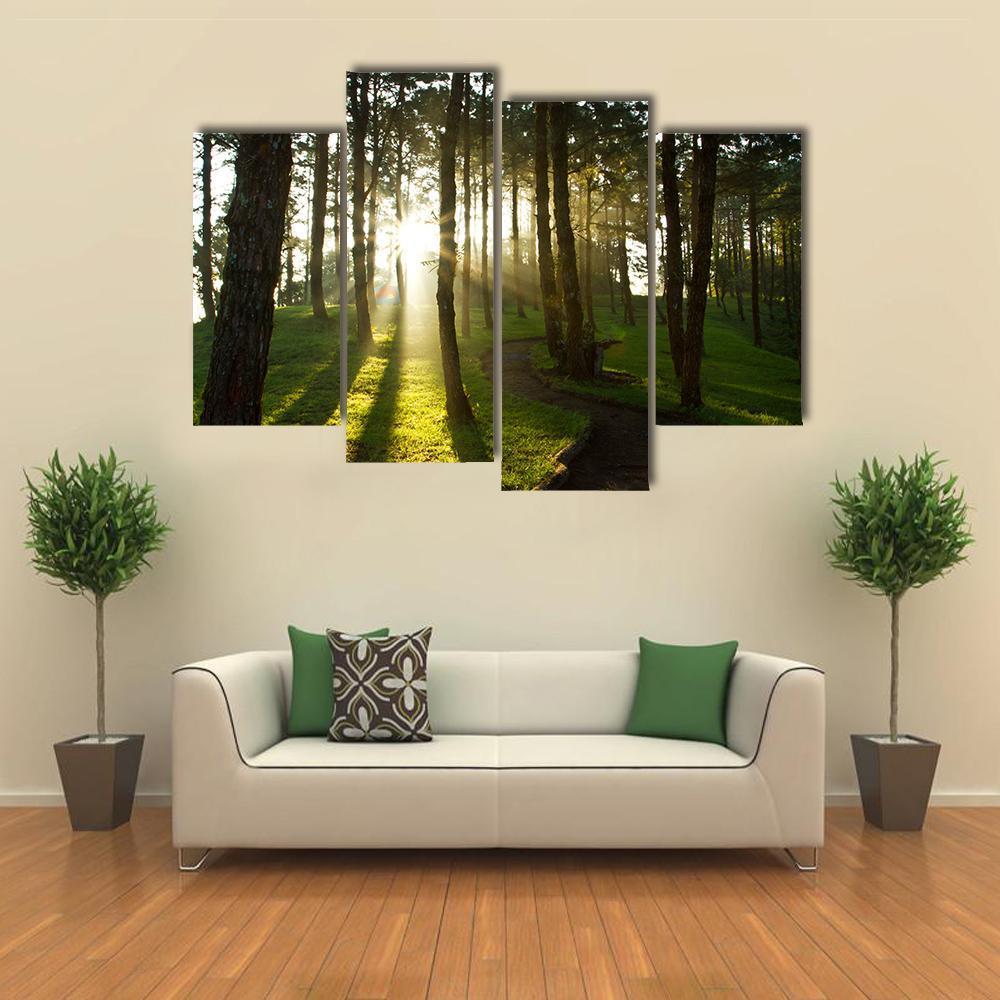 Morning In Pine Forest Canvas Wall Art-4 Pop-Gallery Wrap-50" x 32"-Tiaracle