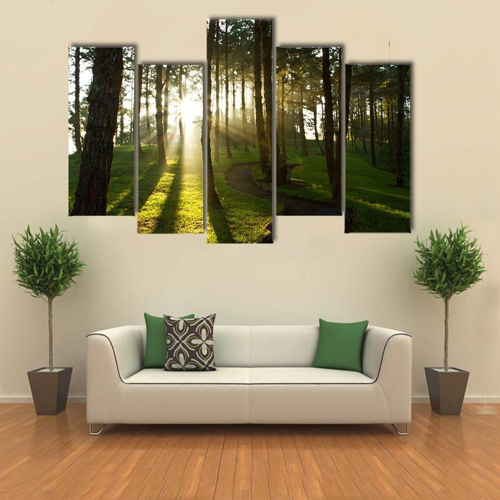 Morning In Pine Forest Canvas Wall Art-5 Pop-Gallery Wrap-47" x 32"-Tiaracle