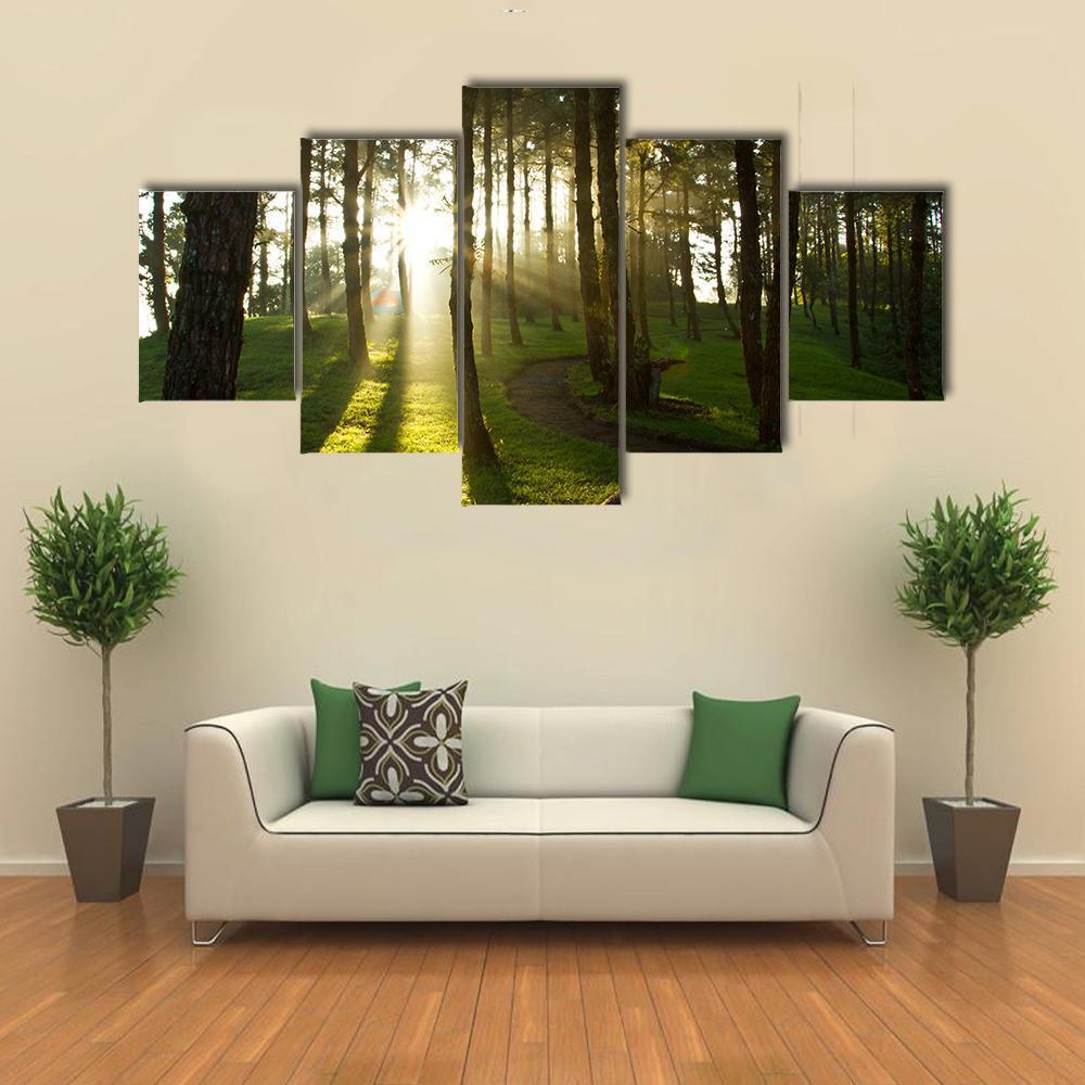 Morning In Pine Forest Canvas Wall Art-5 Star-Gallery Wrap-62" x 32"-Tiaracle