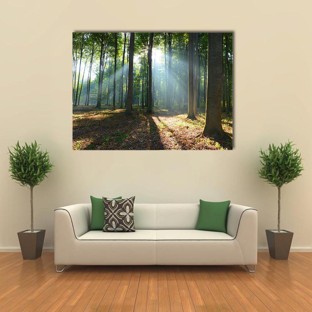 Morning In The Forest Canvas Wall Art-1 Piece-Gallery Wrap-48" x 32"-Tiaracle