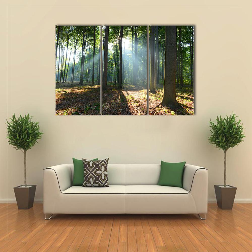 Morning In The Forest Canvas Wall Art-3 Horizontal-Gallery Wrap-37" x 24"-Tiaracle