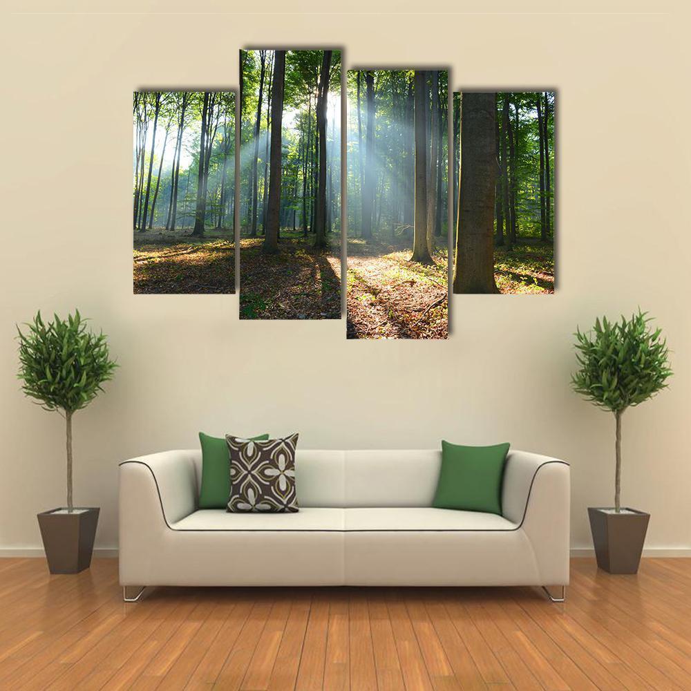 Morning In The Forest Canvas Wall Art-4 Pop-Gallery Wrap-50" x 32"-Tiaracle