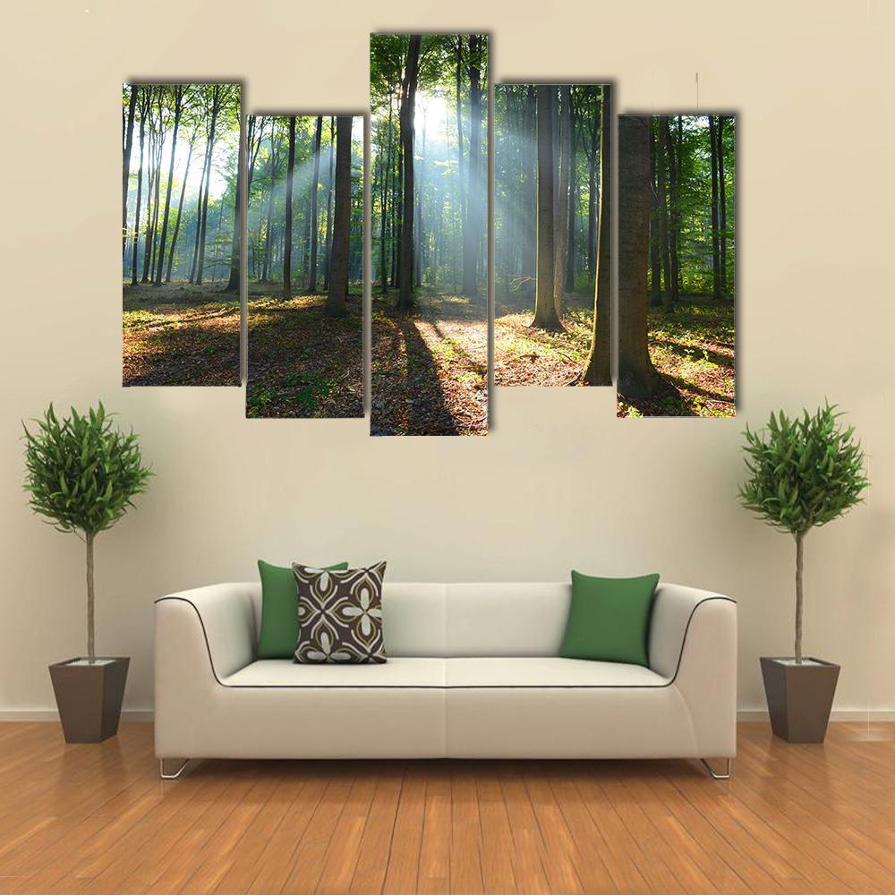 Morning In The Forest Canvas Wall Art-5 Pop-Gallery Wrap-47" x 32"-Tiaracle