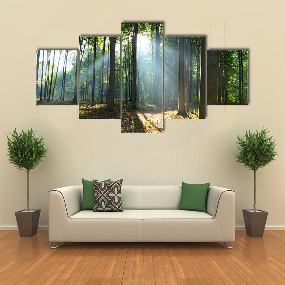 Morning In The Forest Canvas Wall Art-5 Star-Gallery Wrap-62" x 32"-Tiaracle