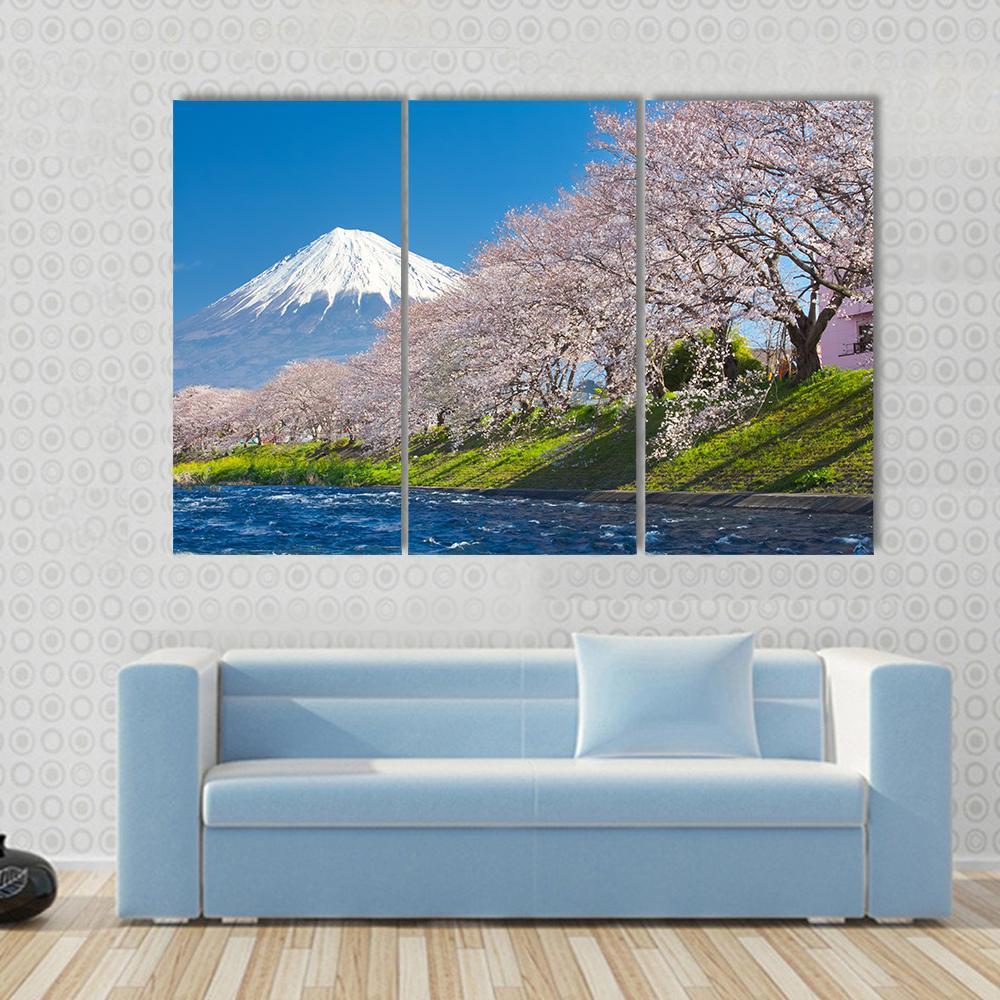 Mountain Fuji & Cherry Blossom Canvas Wall Art-3 Horizontal-Gallery Wrap-37" x 24"-Tiaracle