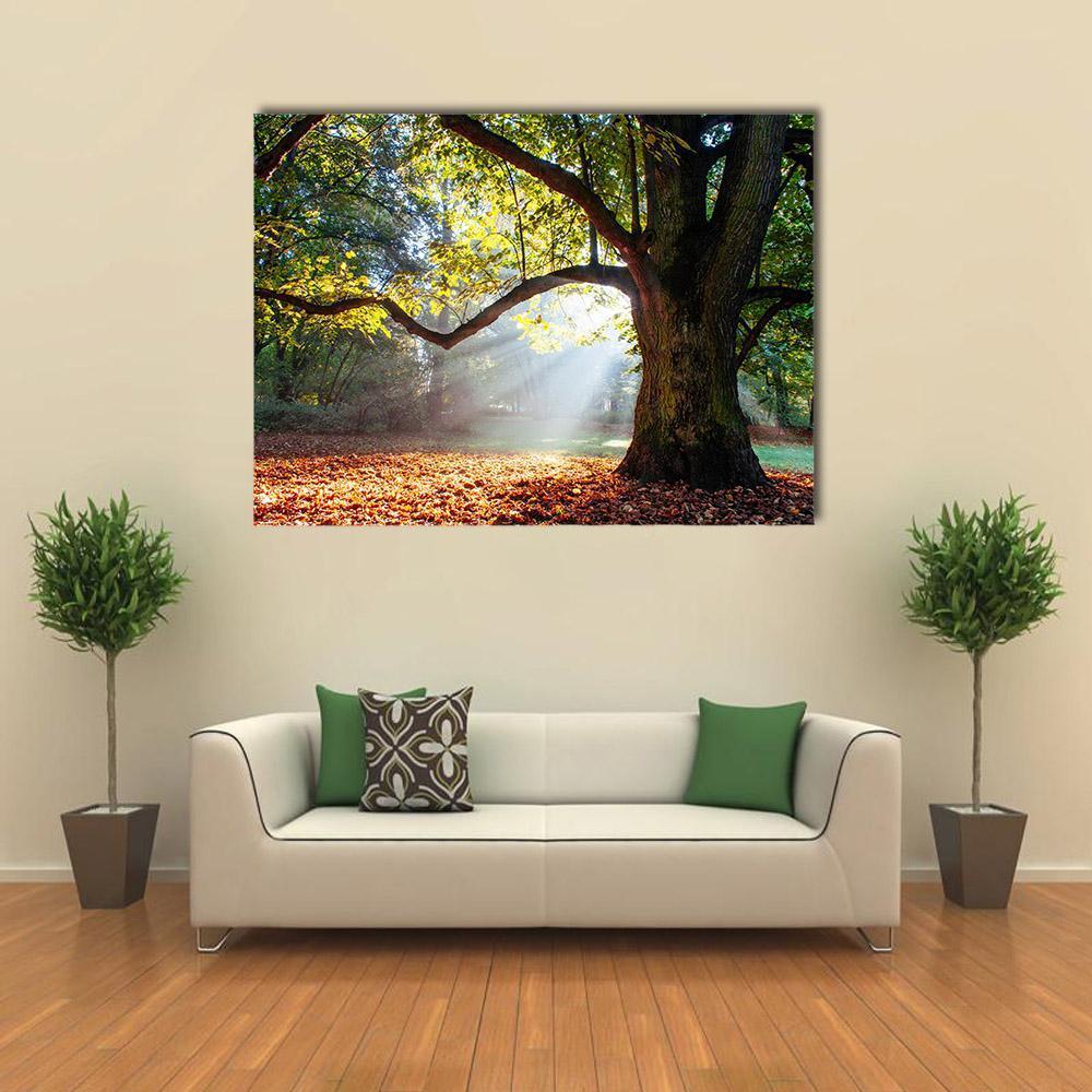 Mighty Oak Tree Canvas Wall Art-1 Piece-Gallery Wrap-48" x 32"-Tiaracle