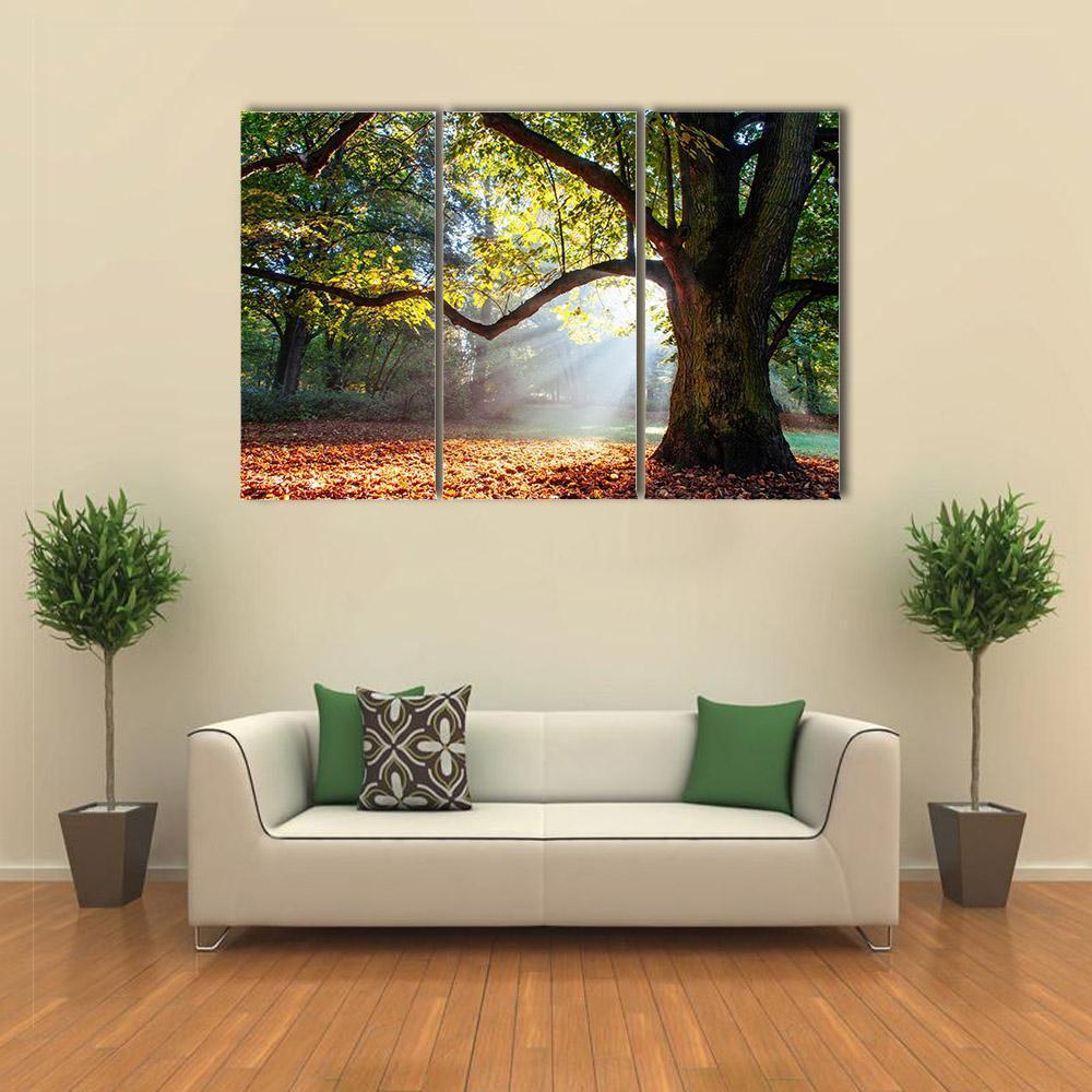 Mighty Oak Tree Canvas Wall Art-3 Horizontal-Gallery Wrap-37" x 24"-Tiaracle